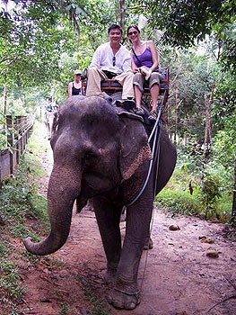 Newlyweds Travel Together Without Killing Each Other 3 Riding an elephant in Ko Samui, Thailand