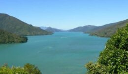 Scenic Queen Charlotte Sound, on the road toward Nelson, New Zealand. Max Hartshorne photos.