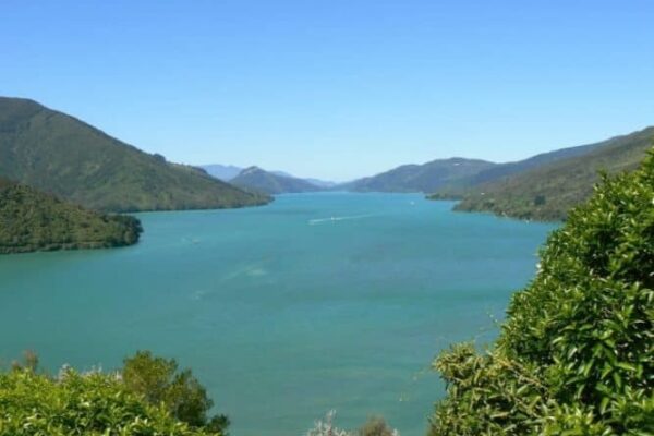 Scenic Queen Charlotte Sound, on the road toward Nelson, New Zealand. Max Hartshorne photos.