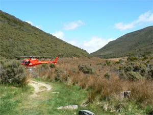 Nelson New Zealand: A Crafty, Artsy Community 14 The vast Heaphy Track, gorgeous place to hike in New Zealand.