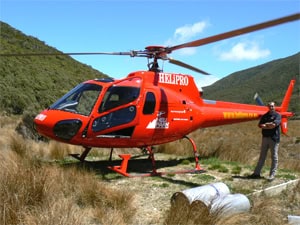 Nelson New Zealand: A Crafty, Artsy Community 13 A Eurocopter Squirrel helicopter, at Heaphy Track.