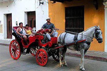 horse drawn wagon