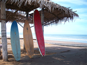 Where We Went: GoNOMAD's Staff Travels 2009 13 Nayarit, Jalisco Mexico.