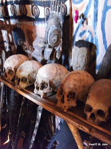 Sacred skulls