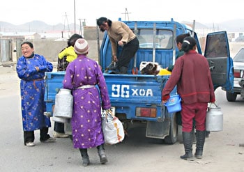 Women at the markets in Khovd, selling their milk from the back of the truck. The goat has the premium seat!
