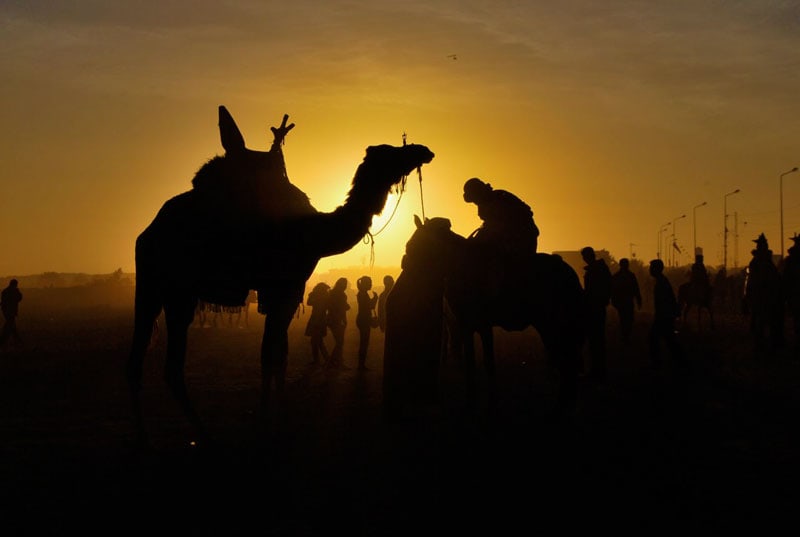 The Festival of the Sahara in Tunisia 8 A setting desert sun at the culmination of a four-day festival
