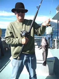 Cruising New Zealand's Doubtful Sound 6 Cod fresh from the Tasman Sea. photo by Cindy Bigras.