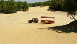 desert-of-maine