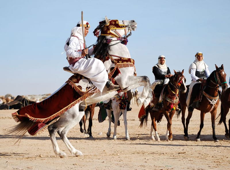 The Festival of the Sahara in Tunisia 1 Well-trained horsemen perform at the Festival of the Sahara in Tunisia. Photos by Sony Stark