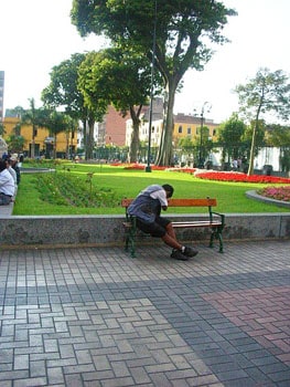 Learning Spanish on a Cultural Tour of Lima, Peru 3 The well-tended flower beds of the Plaza de Armas offer a tranquil place to rest.