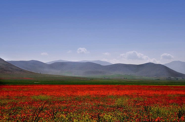 Algerian countryside. Photo by Didier Wuthrich.