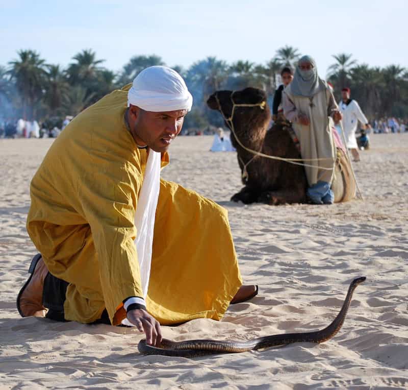 Festival of the Sahara Photo Gallery 6 Snake handler at the Festival of the Sahara in Tunisia