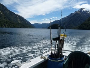 Cruising New Zealand's Doubtful Sound 4 View from the stern of the Seafinn. photo by Cindy Bigras.