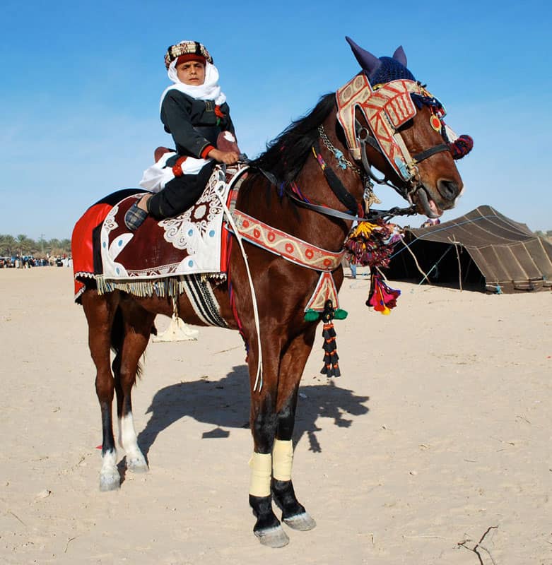 Festival of the Sahara Photo Gallery 4 A young horseman at the Festival of the Sahara in Tunisia