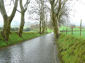 A cobblestone road on a country lane is striking...there are many of these in the Azores, built by hand.