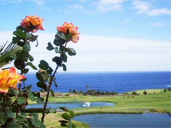Overlooking the golf course in Buenavista. 