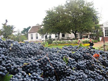 The tour includes a visit to South Africa's world famous wine country.