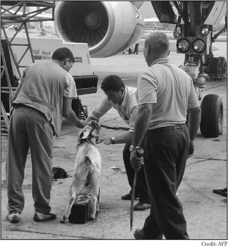 The Titanic Awards: Celebrating the Worst in Travel 2 worst maintenence practice