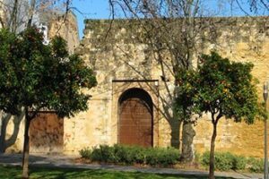 Cordoba: Cultural Center Through the Centuries orange-trees