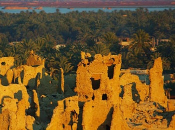 Siwa Oasis, Egypt: Visiting an Ancient Oracle 10 Siwa Shali at sunset