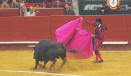 Before the deaths of the bulls in Valencia.