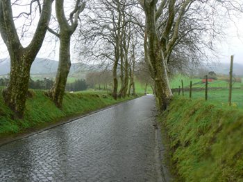 Cobblestone country lanes are common on Sao Miguel, the largest of the nine Azores Islands. Photos by Max Hartshorne.