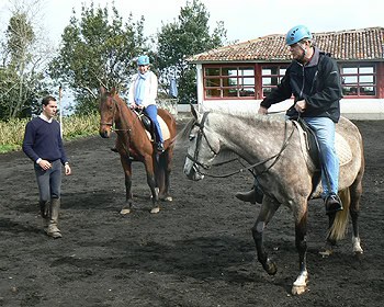 Riding horses in the Azores.