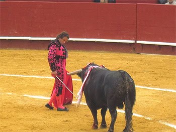 Valencia, Spain: Cheering for the Bull 7 The stare down between man and bull