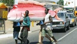fish-coffin