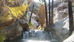hiking-palm-spring