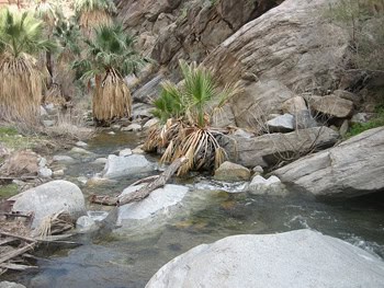 Seven Sisters waterfall, outside Palm Springs California. photos by Ingrid Hart.