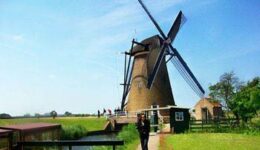 windmill