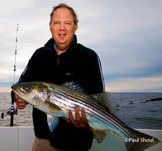 Striped bass is the prize for every angler fishing in Rhode Island. Paul Shoul photo.