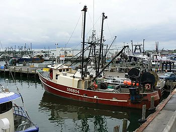The fishing hamlet of Galilee, in the town of Point Judith, on the tip of Southern Rhode Island. It's home to a large fishing fleet.