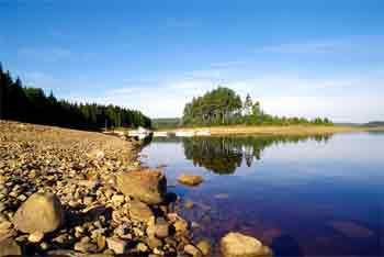 Manchester England: The North's Groovin' Capital 7 Kielder Water and Forest Park, Northumberland