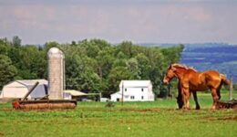 ny-finger-lakes
