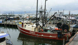 point judith
