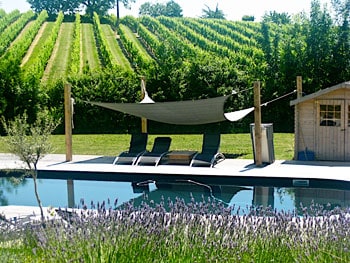 The natural saltwater pool at Simply Canvas, surrounded by vineyards and lavender fields