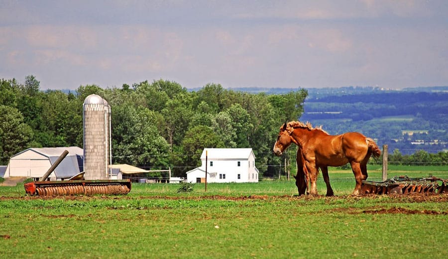 New York State's picture perfect farmlands, the Finger Lakes