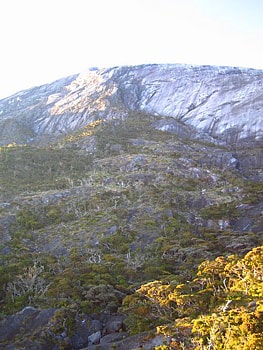 New Hampshire's White Mountains: Family Fun at 6,288 Feet 2 The view from the Mt. Washington Cog Railway