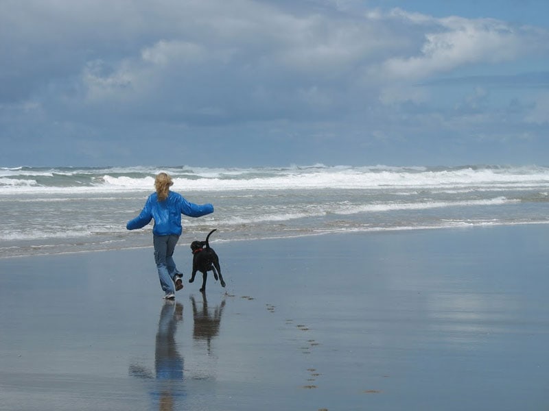 No leashes necessary! Photos by Marilyn Windust.