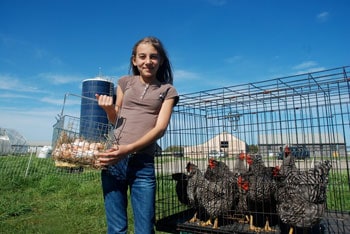 Martha's Vineyard: The Wampanoag's Homeland 9 Gathering eggs at the Farm Institute.