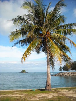 View of the South China Sea