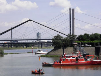 The Rhine Knee Bridge