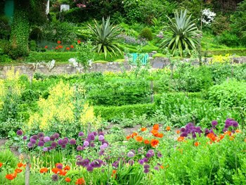 My Beloved Ireland: A Magical Place 7 Glenveigh Gardens.