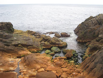 Newfoundland and the East Coast Trail 3 The iron-tinted brook