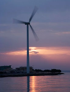 Sir Bani Yas Island: Desert Island Discovery 3 Forty wind turbines are planned for the island.