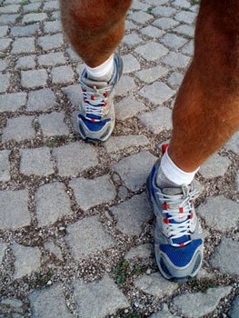 The right footwear is important.