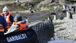 Landing a Zodiac boat