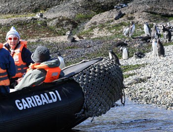 Landing a zodiac boat on Penguin Beach